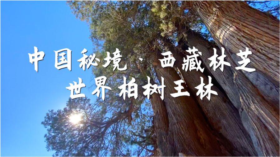 体内有结节的人应该少吃这些“发物”,忍住不吃才能赢