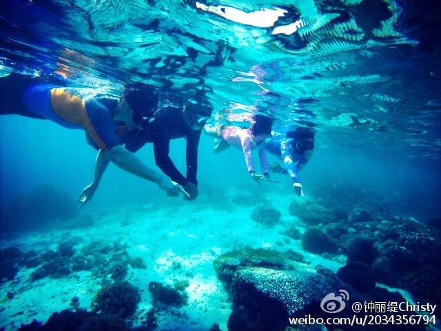 翻转吧，苹果虫